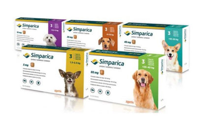 Simparica: el mejor tratamiento para pulgas y garrapatas en perros