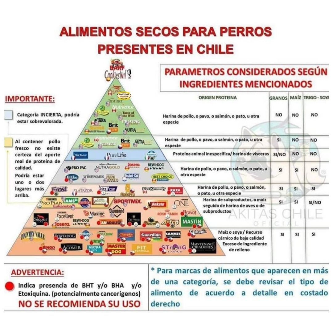 Diseno_sin_titulo.jpg