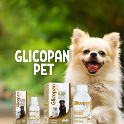 ¿Qué es Glicopan Pet y para qué sirve? (Suplemento Vitamínico Para Perros y Gatos)